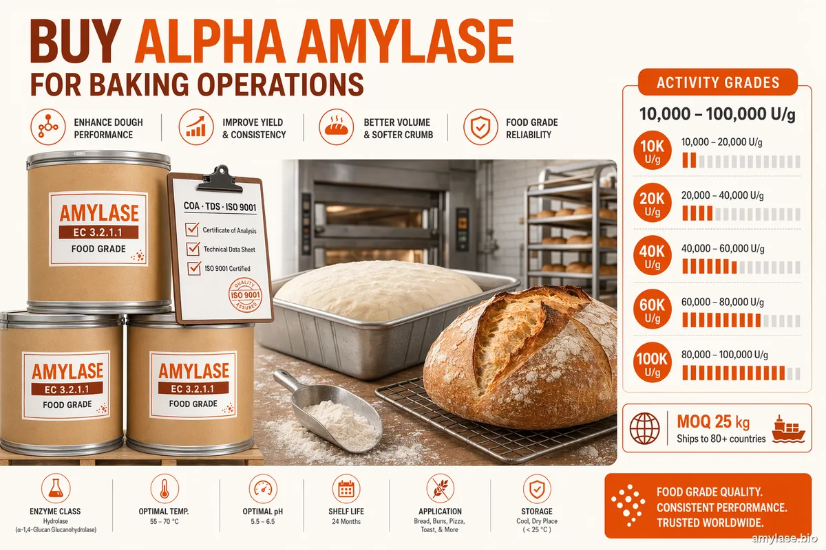 Buy Alpha Amylase for Baking Operations