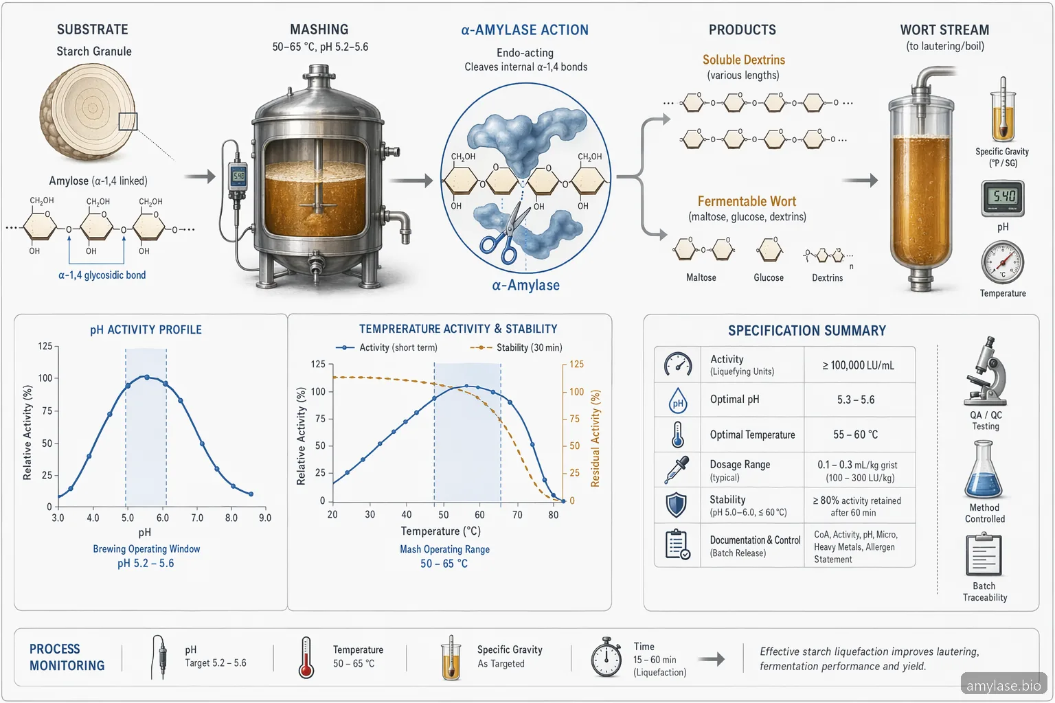 แผนภาพเช็กลิสต์สเปก alpha-amylase enzyme สำหรับการหมักเบียร์ แสดงการย่อยแป้งเป็นเดกซ์ทริน พร้อมช่วง pH และอุณหภูมิ