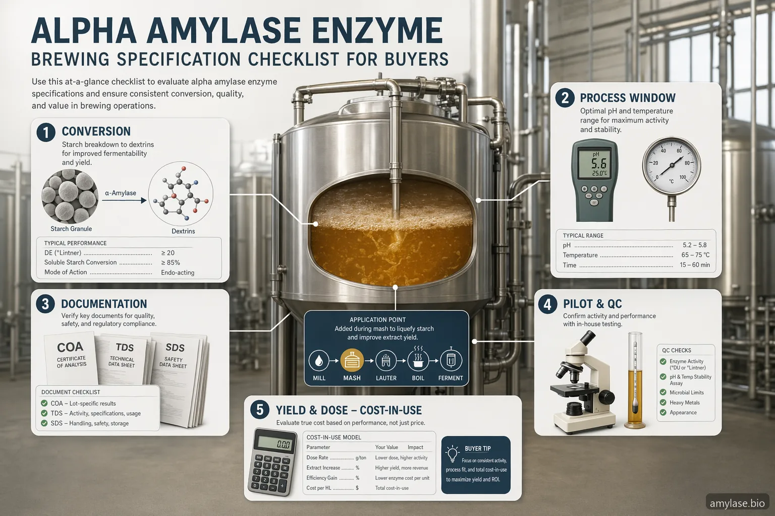 เช็กลิสต์สเปก alpha-amylase enzyme สำหรับการหมักเบียร์ แสดงเงื่อนไขกระบวนการ เอกสาร COA การตรวจ QC และต้นทุนการใช้งาน