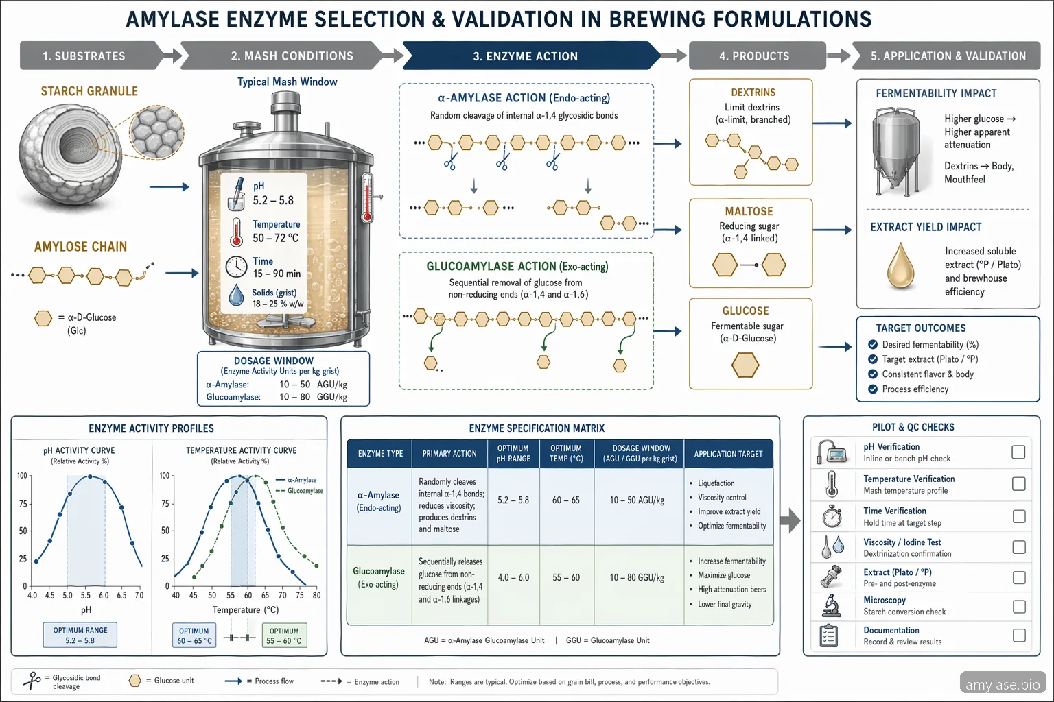 amylase Brauerei-Enzym für Brauformulierungen, Prozessdiagramm mit pH, Temperatur, Stärkehydrolyse und Vergärbarkeitsprüfungen
