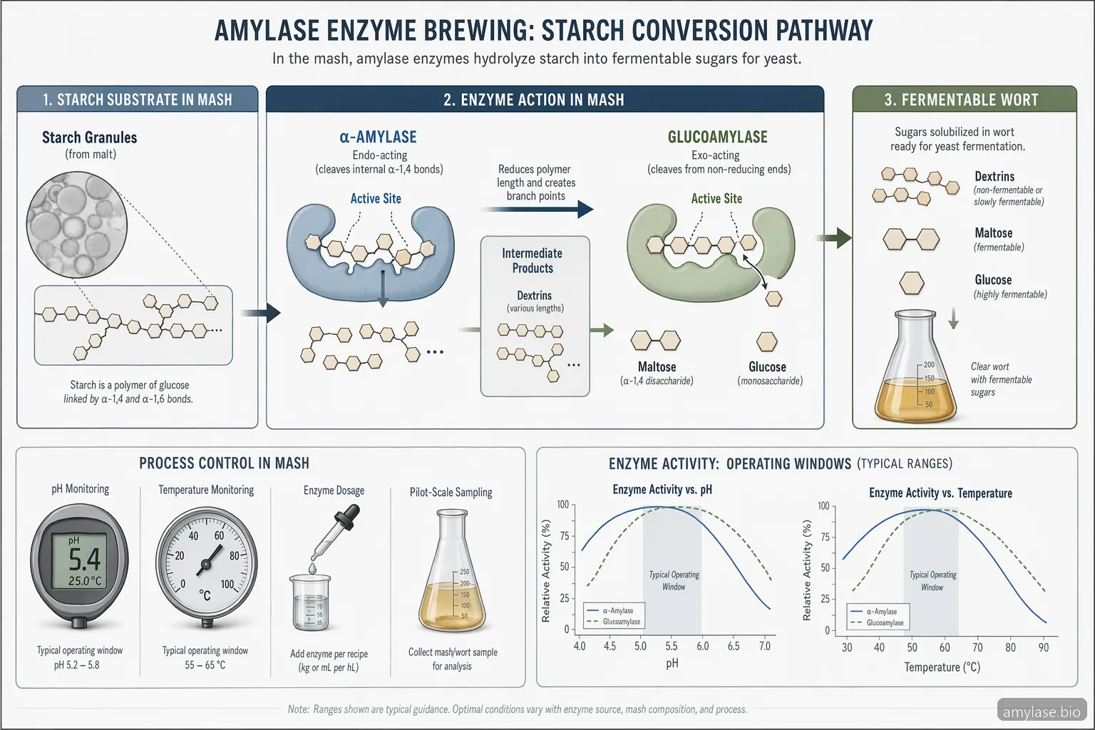 Enzima Amilase para Cervejaria: Guia Prático de Fornecimento para Cervejarias — process diagram