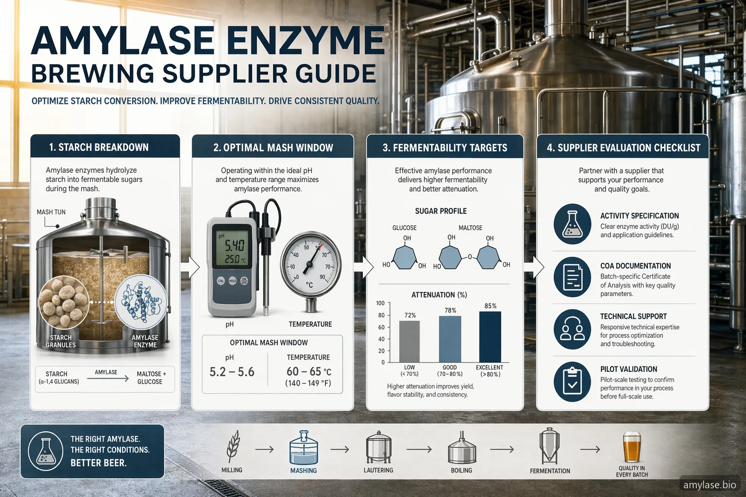 Enzima Amilase para Cervejaria: Guia Prático de Fornecimento para Cervejarias — at-a-glance summary