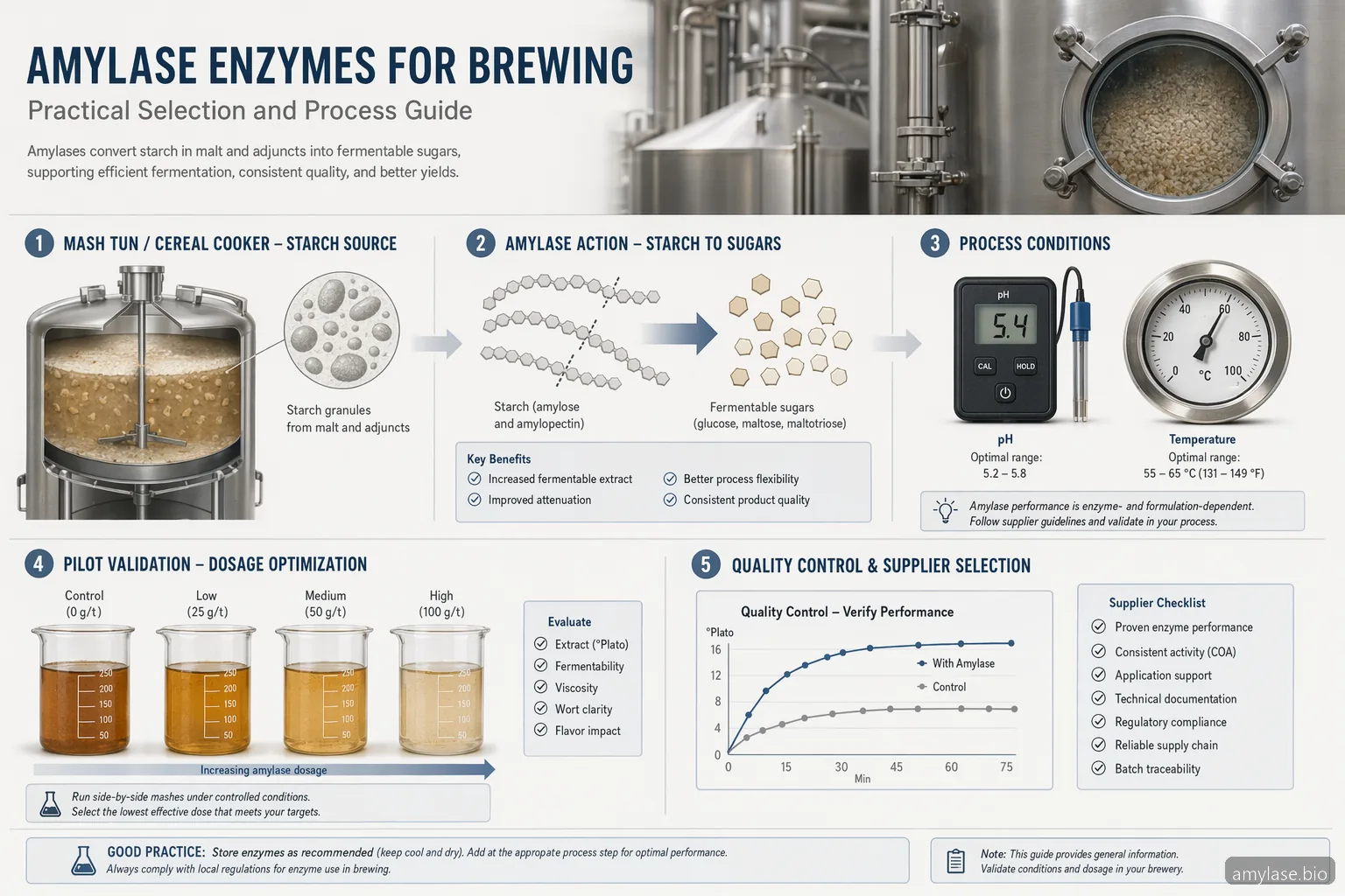 Enzima amilasa para elaboración de cerveza: guía práctica de selección y proceso — at-a-glance summary