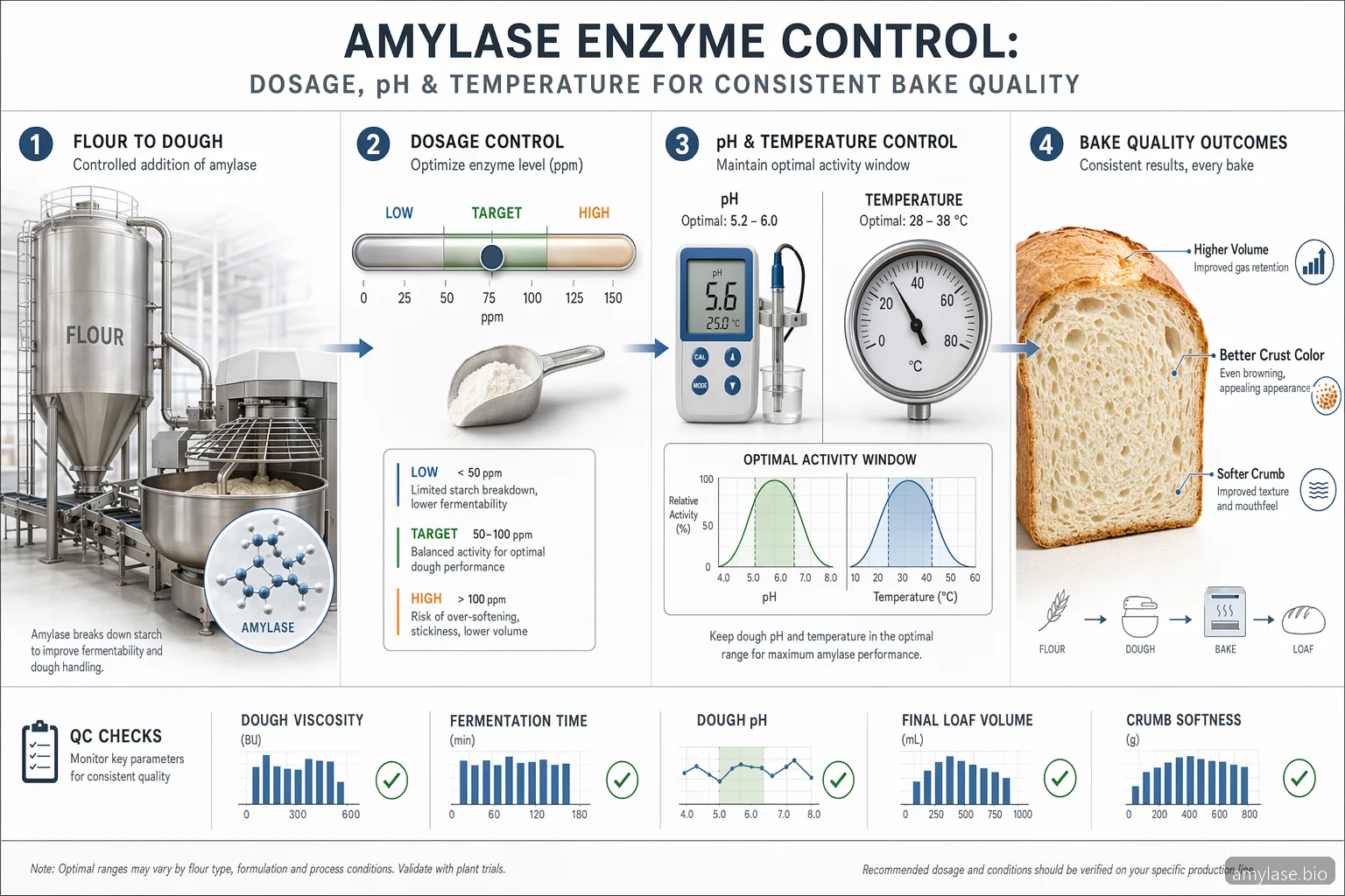 Infografic despre dozajul amylase enzyme în baking, cu pH, temperatură, volum al pâinii, fermentație, culoarea crustei și controale QC