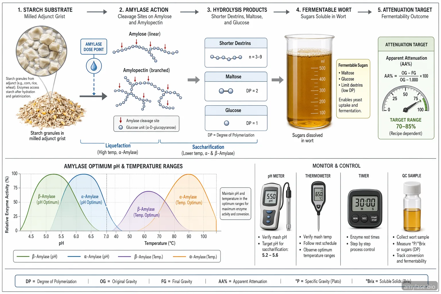 how to use amylase enzyme in brewing: stivelse-til-sukker procesdiagram med pH, temperatur, dosis og attenueringskontrol
