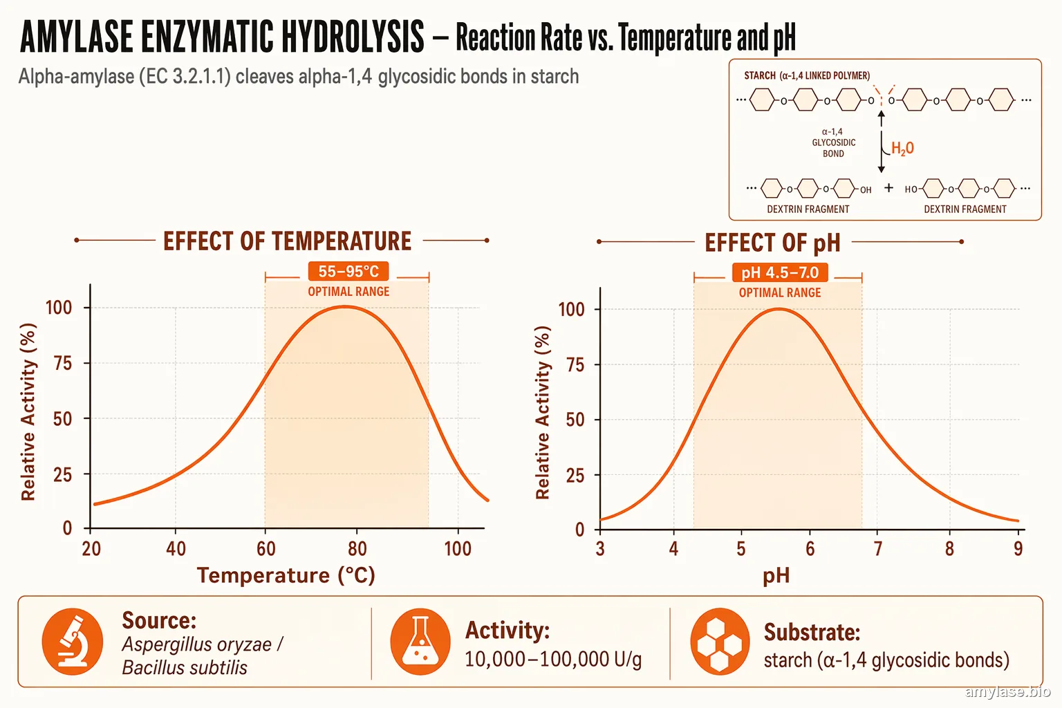 Amylase (General-Purpose) reaction rate vs temperature and pH — bell curves with optimal zones shaded