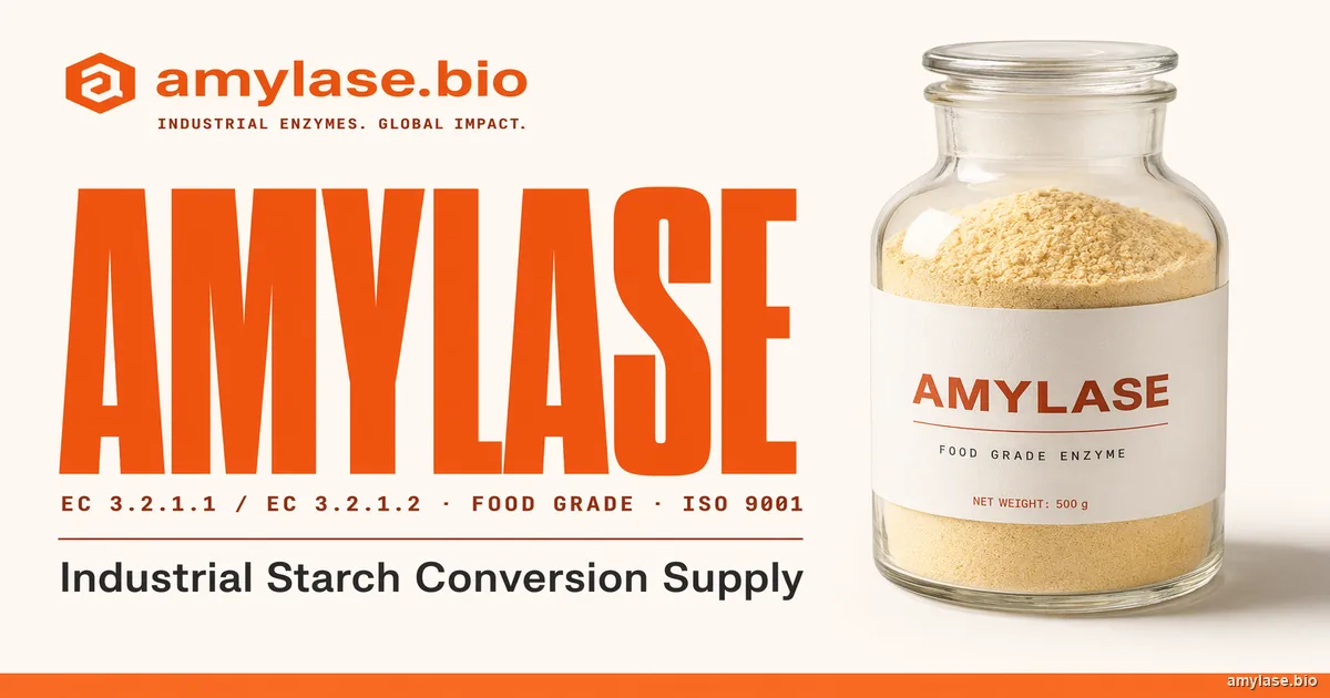 Amylase Enzyme Powder for Baking Troubleshooting